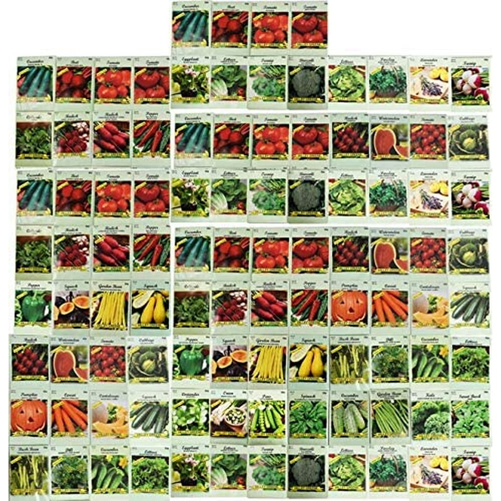 100 Assorted Heirloom Vegetable Seeds 100 NonGMO (100, Deluxe Assorted Vegetable Seeds