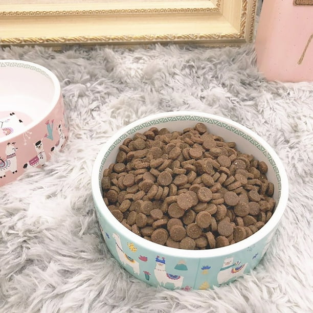 Kitten food and water bowls cheap