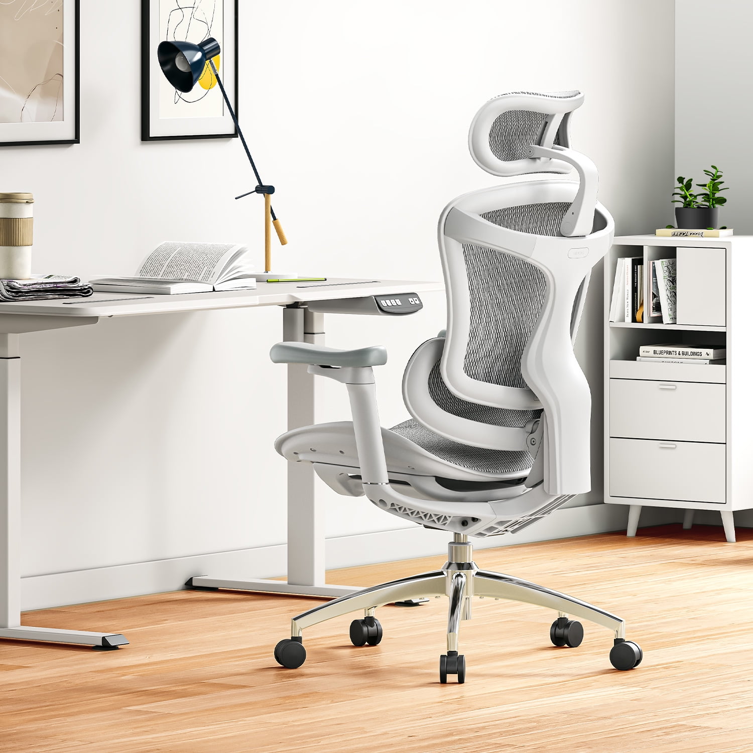 SIHOO Doro-C300 Ergonomic Office Chair-4 Positions Adjustable