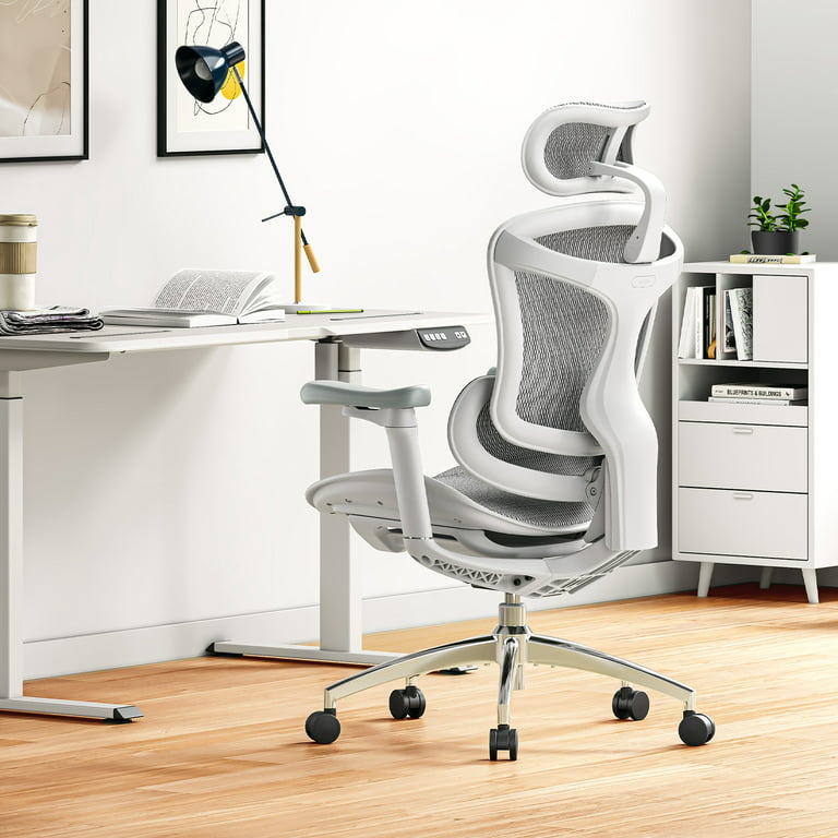 SIHOO High Back Ergonomic Office Mesh Desk Chair with Armrest & Lumbar  Support, 300lb, Gray