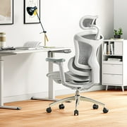 Sihoo Doro-C300 Ergonomic Chair, 3D Armrests Swivel Chair, Adaptive Lumbar Support Office Chair, Ergonomic Desk Chairs for Adults, Comfort Home Office Chair, Gray