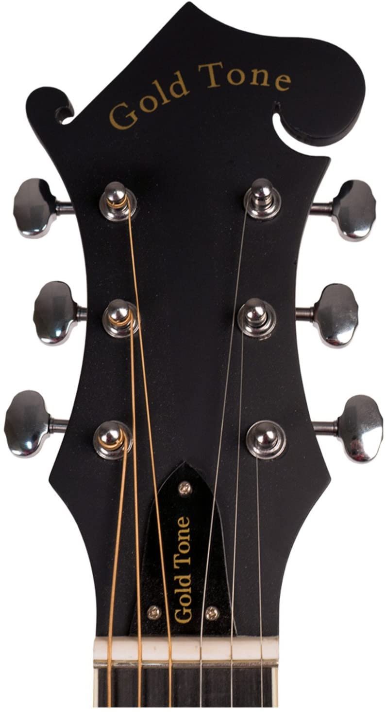 gold tone a6 mando guitar