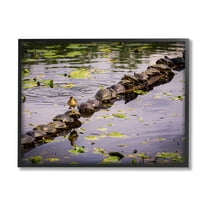 Stupell Industries Bird on Turtle Backs Landscape Photography Black Framed Art Print Wall Art, 30 x 24