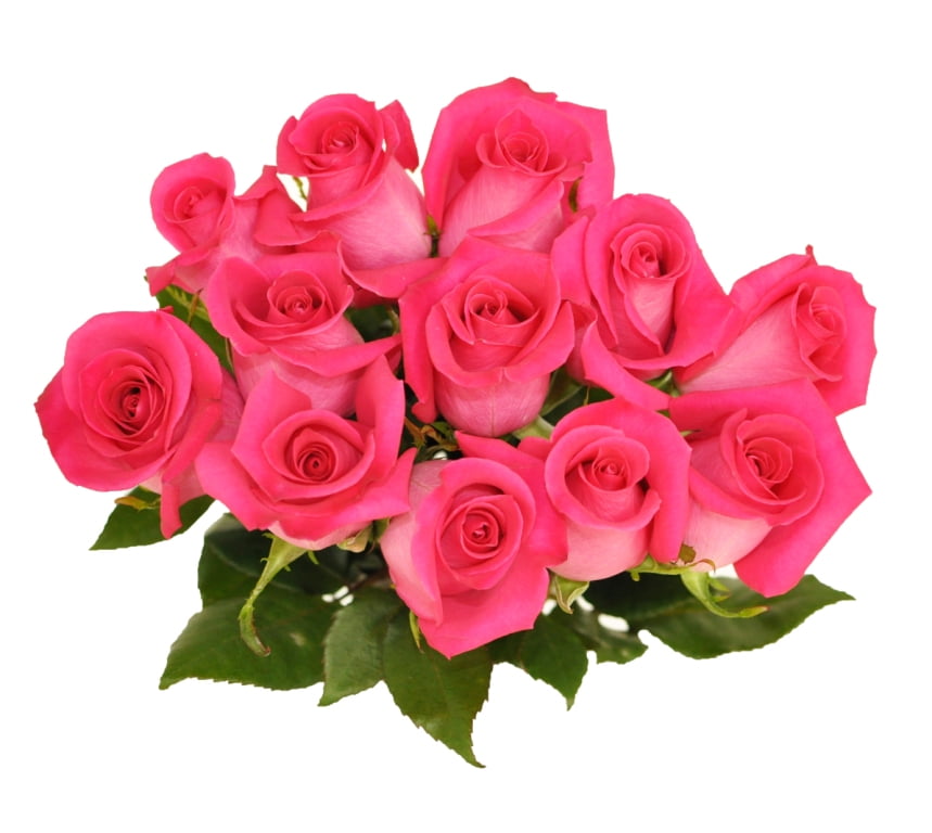 FreshCut Dozen Rose Mother's Day Flower Bouquet, 12 Stems, Colors Vary