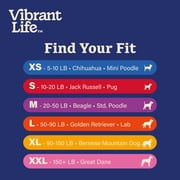 Vibrant Life Solid Polyester Adjustable Dog Collar, Blue, XS