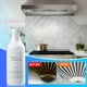 thumbnail image 3 of Utensilio de cocina Agente de limpieza en seco | Desengrasante en aerosol de espuma de alta resistencia | Quitamanchas anhidro para campanas extractoras, hornos, fregaderos, vidrios, azulejos |, 3 of 7