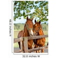 thumbnail image 2 of Wallmonkeys Two Horses in Paddock Peel and Stick Wall Decals Mural WM202626 (32 in W x 48 in H), 2 of 4