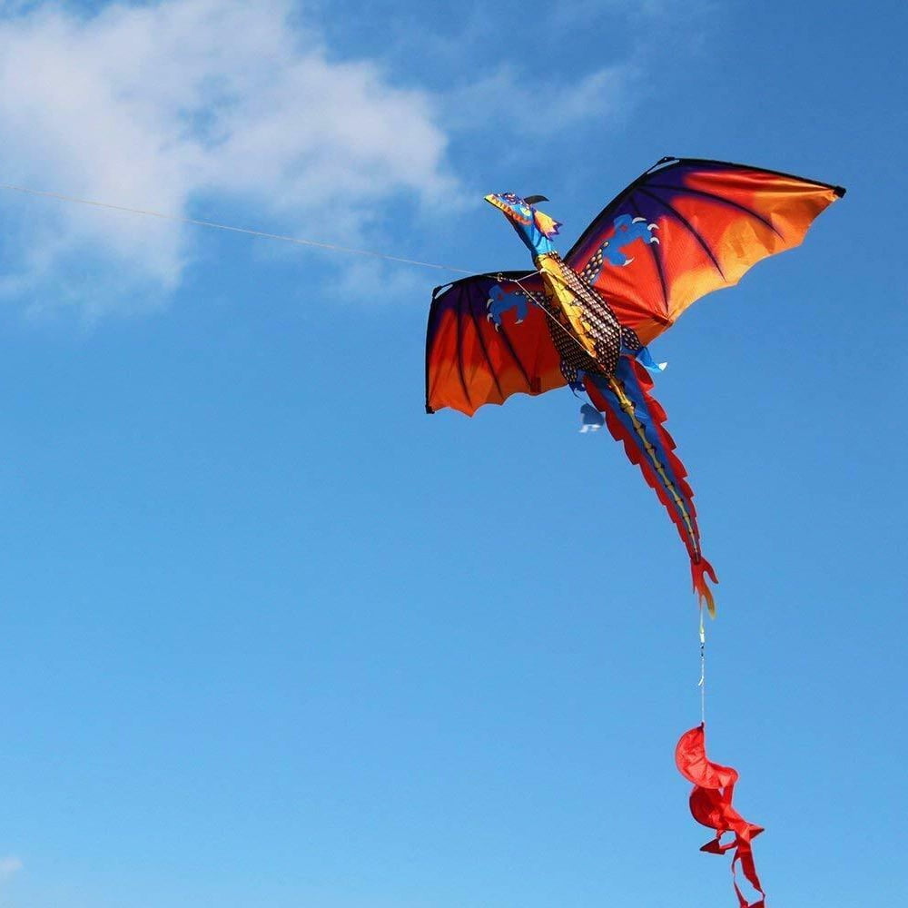 iMeshbean 3D Dragon Kite Single Line With Tail Family Outdoor Sports