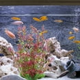thumbnail image 1 of Fiudx Decoración de Césped para Acuario, Plantas de Plástico Vibrantes, Diseño de Base de Piedra, Fácil de Limpiar, para Agua Dulce y Salada, Accesorio Decorativo para Peceras, Incluye 1 Pieza, 1 of 3
