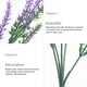 thumbnail image 4 of GOOHOCHY Lavanda artificial con tallos Decorativo Falso Lavanda Simulación Lavender Decoración, 4 of 7
