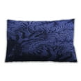 thumbnail image 1 of Ahgly Company Indoor Rectangular Contemporary Lumbar Throw Pillow, 13 inch by 19 inch, 1 of 5