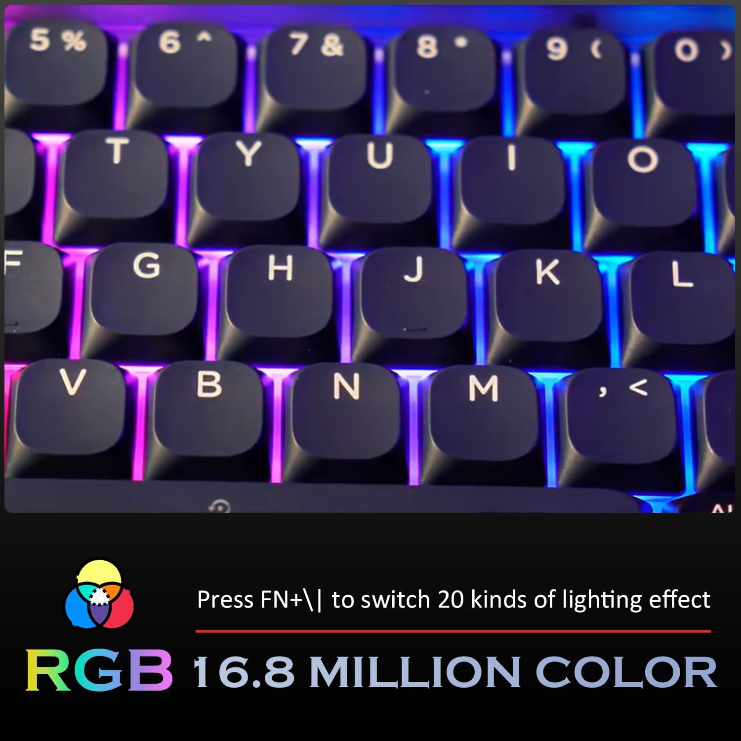 ATTACK SHARK Low Profile Mechanical Keyboard 75%,BT5.0/2.4G/Cable,PBT,White Backlit-Red Switch