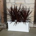 thumbnail image 3 of Cape Cod 24x11 Patio Planter, 3 of 3
