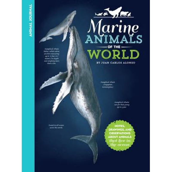 Pre-Owned Animal Journal: Animal Journal: Marine Animals of the World : Notes, drawings, and observations about animals that live in the ocean (Hardcover)