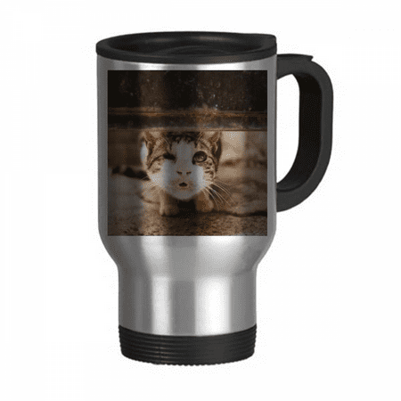 

Animal Funny Cat Photograph Shoot Travel Mug Flip Lid Stainless Steel Cup Car Tumbler Thermos