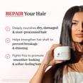 thumbnail image 3 of HAIRtamin Deep Conditioning Hair Treatment with Biotin and Botanical Extracts, Moisturizing Mask for Dry and Damaged Hair, 8 fl oz, 3 of 7