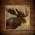 thumbnail image 2 of Marrott, Stephanie 15x15 White Modern Wood Framed Museum Art Print Titled - Moose Portrait, 2 of 4