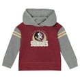 thumbnail image 2 of Girls Toddler Florida State Seminoles Clubhouse-Pullover Hoodie and Legging Set, 2 of 5