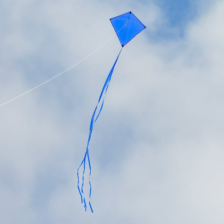 kite tobacco walmart 30