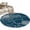 Teal Blue, variant on Entryway Rug 2'x3', Red Flowers Small Rug for Kitchen Bathroom Door Mat Indoor Entrance, Spring Floral Botanical Modern Art Non-Slip Area Rugs Floor Mats Carpet Front Door Rugs
