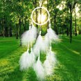 thumbnail image 5 of Atrapasueños Hade Net Withers Decoración colgante Decoración Craft Gif, 5 of 5