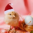 thumbnail image 4 of OULII 6 Ensembles Tenues de Vacances pour Chien Chapeau en Peluche Rouge avec Pompon pour Animaux, 4 of 8