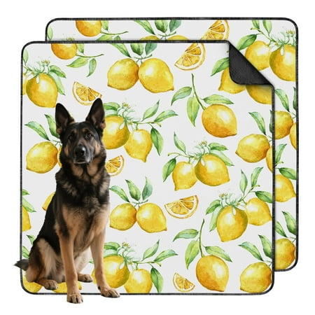 Washable and Reusable 48 x48 Fruit Patterns Puppy Pads Non-Slip Dog Potty Training Mat for Housebreaking and Indoor Accident Prevention