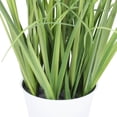 thumbnail image 3 of Vickerman 32" Artificial Green Potted Bamboo and Grass., 3 of 5