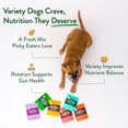 thumbnail image 6 of (Pack Of 8) Portland Pet Food Company Meal Dog Turkey Yam 9 Oz, 6 of 7