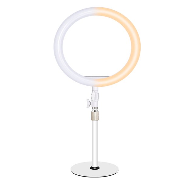 Anillo de luz para computadora portátil, luz de escritorio regulable de 10 pulgadas con soporte para teléfono, luz circular para computadora, 3 modos de luz para iluminación/llamada de
