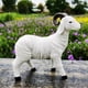 thumbnail image 3 of 3x Lifelike Resin Goat Figurine Fairy Garden Lamb Ornament Housewarming Gift Zulema none, 3 of 8