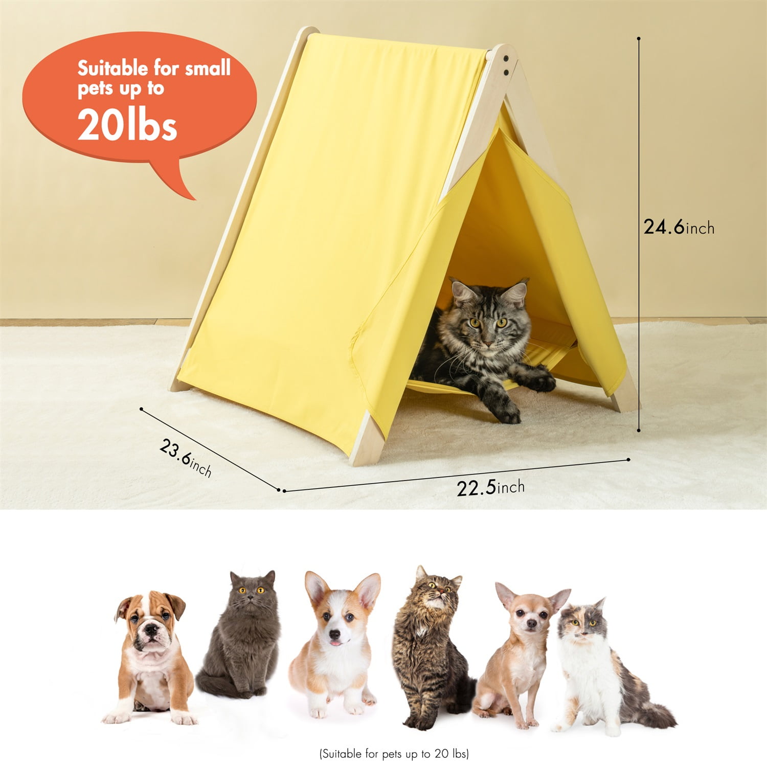 Pefilos 24" Pet Tent Cat Nest Cute, Cat Tent for Indoor Cats, Wooden Cat House for small Pets Cat Beds in Pet Supplies Cat Teepee Shelter Cat Condo Modern,Yellow Pefilos 24" Pet Tent Cat Nest Cute, Cat Tent for Indoor Cats, Wooden Cat House for small Pets Cat Beds in Pet Supplies Cat Teepee Shelter Cat Condo Modern,Yellow
