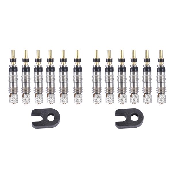 Wosthever Kit de reparación de núcleo de válvula de neumático de bicicleta de montaña con núcleo de válvula de aire con accesorio de herramienta Núcleo de válvula 6PCS 2piezas Wosthever CBP261270
