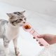 thumbnail image 4 of Cuchara para premios para gatos - Dispensador de comida para mascotas de 25 cm con agarre ergonómico, diseño plástico fácil de limpiar para un control preciso de las porciones, 4 of 5