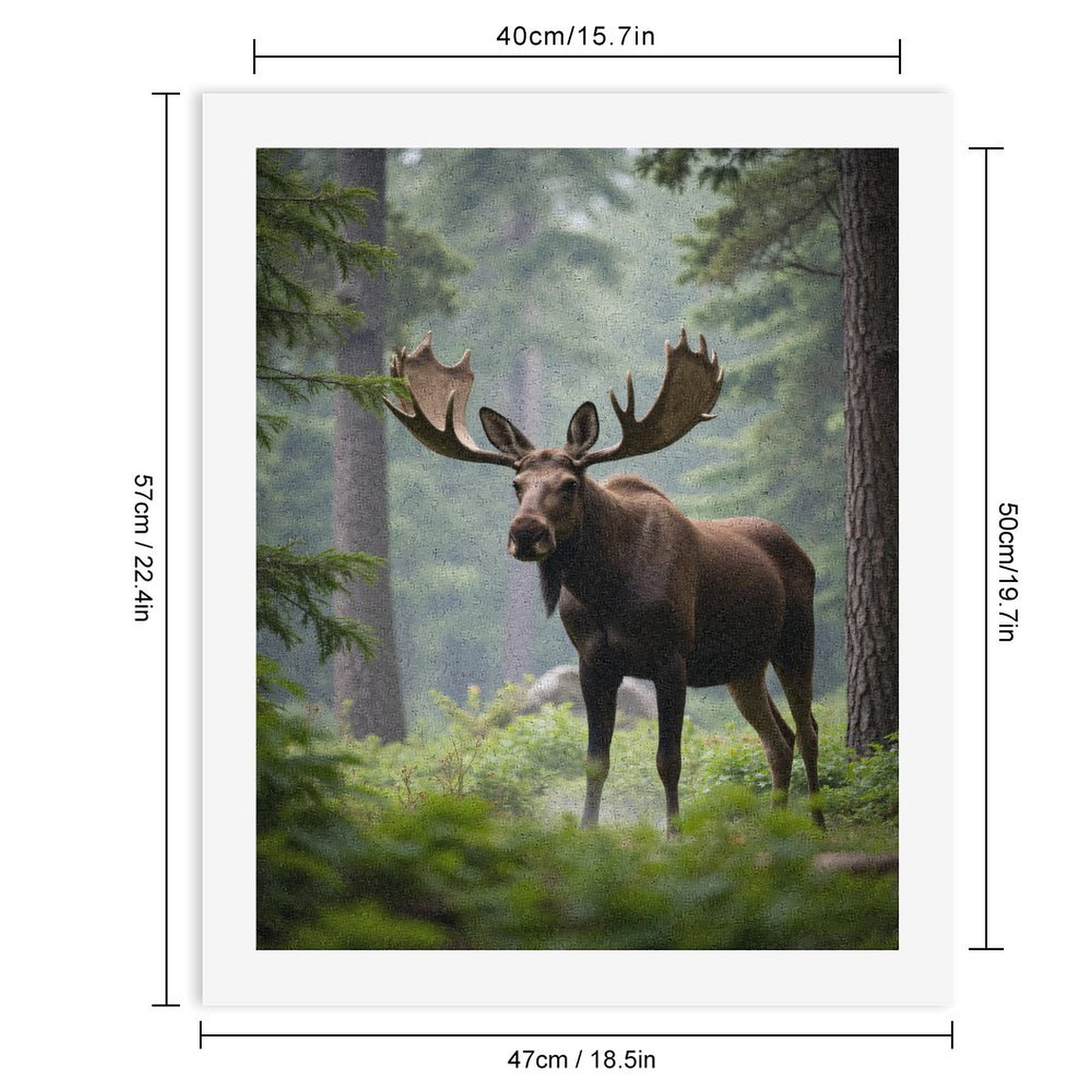 Paint By Numbers Kit for Adults Beginner - DIY Moose In Forest With Majestic Antlers Canvas Painting Kits for Adults, Frameless Paint By Number for Adults for Home Wall Decor 16x20 Inch