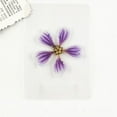 thumbnail image 1 of Dried Flowers Pressed Flowers Material Package DIY Handmade Bet Flowers Bookmarks Photo Frame Plant Specimen Portrait Handmade Stick Face Makeup, 1 of 4