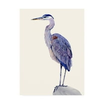 Trademark Fine Art 'Heron Study I' Canvas Art by Melissa Wang