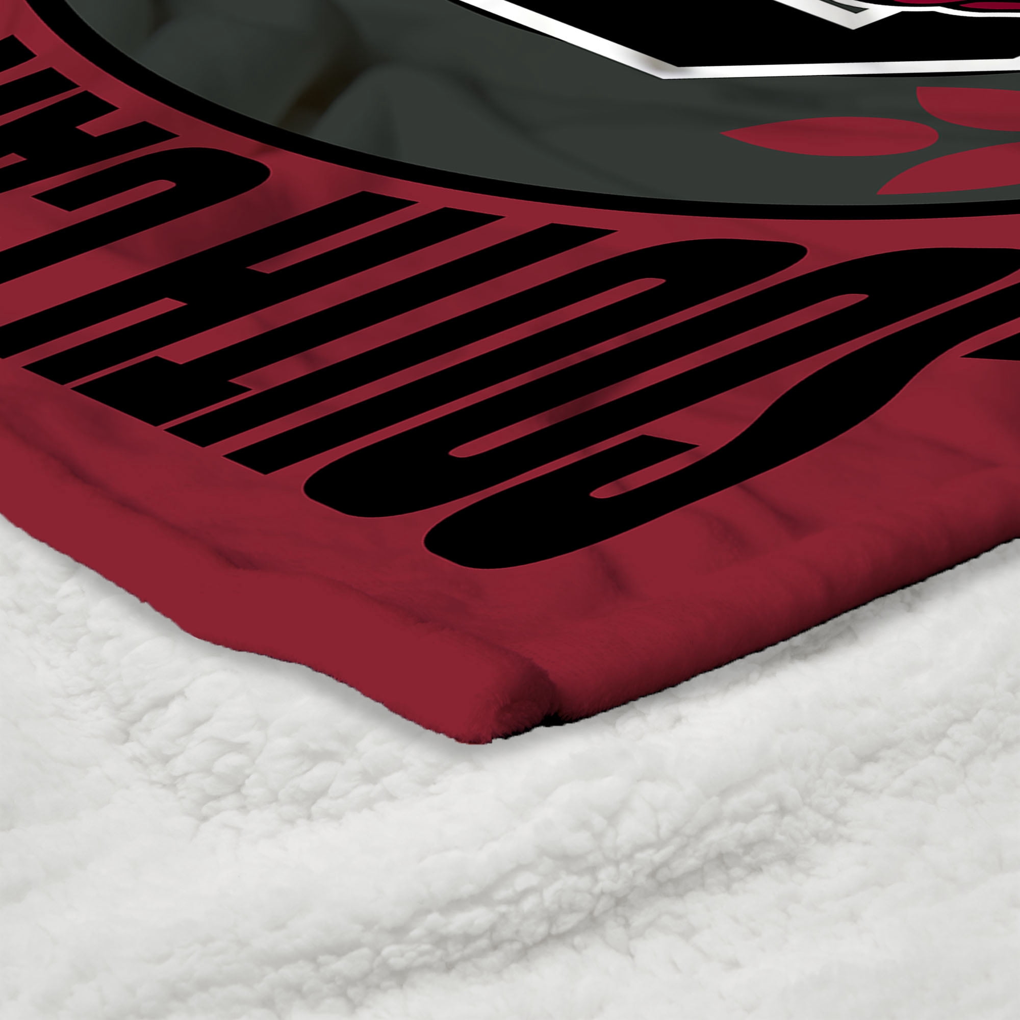 South Carolina NCAA Apex Silk Touch Sherpa Throw 50x60 inches
