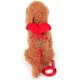 thumbnail image 3 of Adjustable Kitten Harness and Leash - Angel Wings Cat Leash (Red,XS), 3 of 5