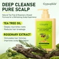 thumbnail image 2 of Gypsophila Tea Tree Oil Shampoo Rosemary Shampoo with Camellia Flower Oil and Rosemary Oil Anti-Dandruff Strengthening Hair,10.14 FL OZ,300ml, 2 of 8