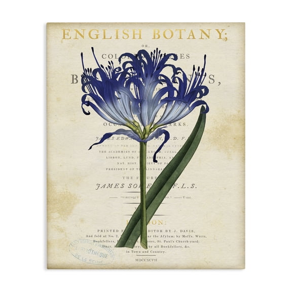 Stupell Industries Shabby Chic English Botany Blue Floral Canvas Art, 16 x 20, by Susan Arnot
