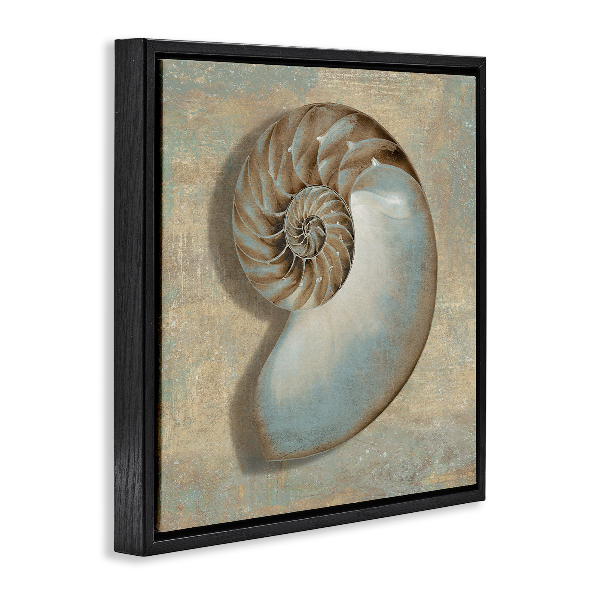 Stupell Industries Shell Beach Objects Design Nature Painting Black Floater Framed Canvas Art Print Wall Art, 18 x 18