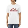 thumbnail image 2 of Birmingham Stallions Shirt Short Sleeve Cotton Tshirt, 2 of 5