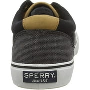 Sperry Top-Sider Striper Ii Cvo Waxy Canvas/Grey Tonal 5M
