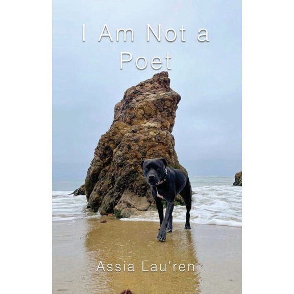 I Am Not a Poet (Paperback)