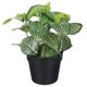 thumbnail image 1 of ADDHAT Planta Falsa Para En Hogar Oficina Y Bar Con Follaje Detallado, 1 of 5