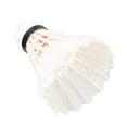 thumbnail image 4 of Wosthever Volantes de plumas de entrenamiento, 12 Uds., pelota de bádminton profesional, partido deportivo, práctica de deportes al aire libre, Bádminton, 4 of 6