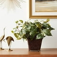 thumbnail image 4 of Nearly Natural 17" Pothos with Coiled Rope Planter Polyester Artificial Plant, Green, 4 of 6
