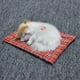 thumbnail image 4 of Muñeco de peluche con sonido de gato y gatito de simulación ZTGD con tapete para dormir, decoración del hogar, 4 of 8