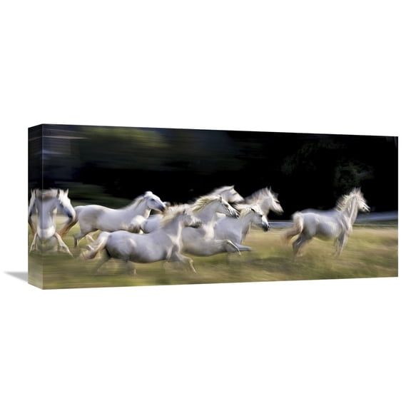 Global Gallery Milan Malovrh 'Ten' Canvas Wall Art